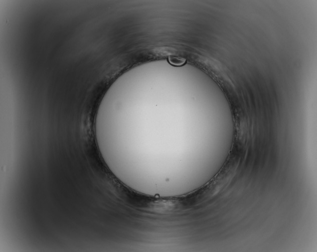 X0000094360418200711162054