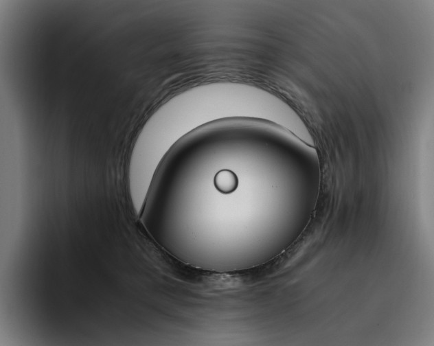 X0000094360421200711162054