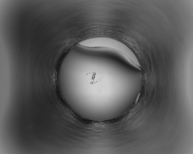 X0000094360423200711162054