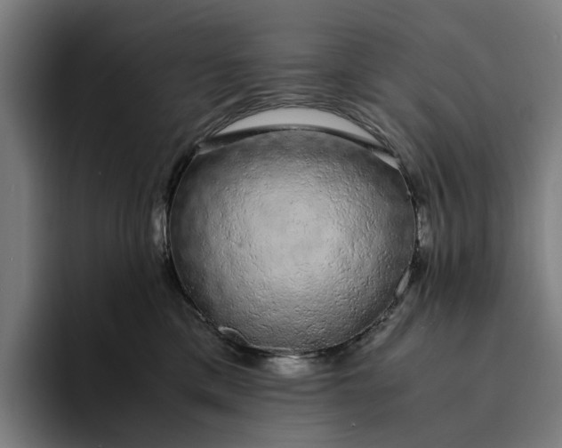 X0000094360425200711162054