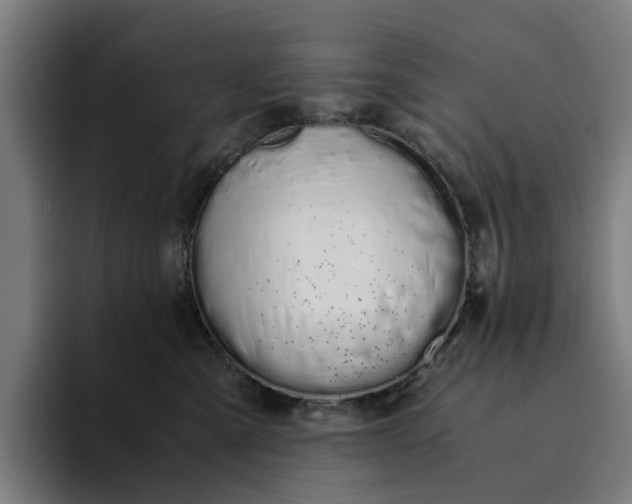 X0000094360427200711162054