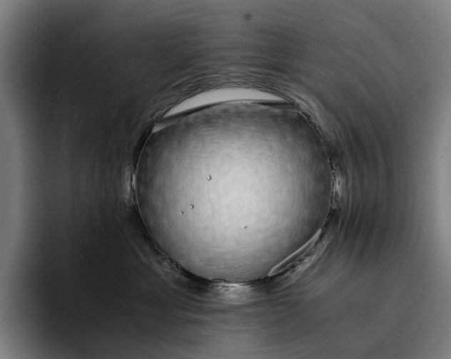 X0000094360429200711162054