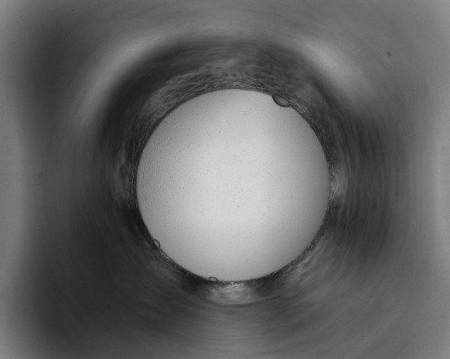 X0000094360431200711162054