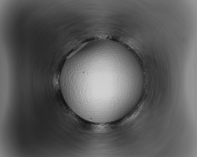 X0000094360432200711162054