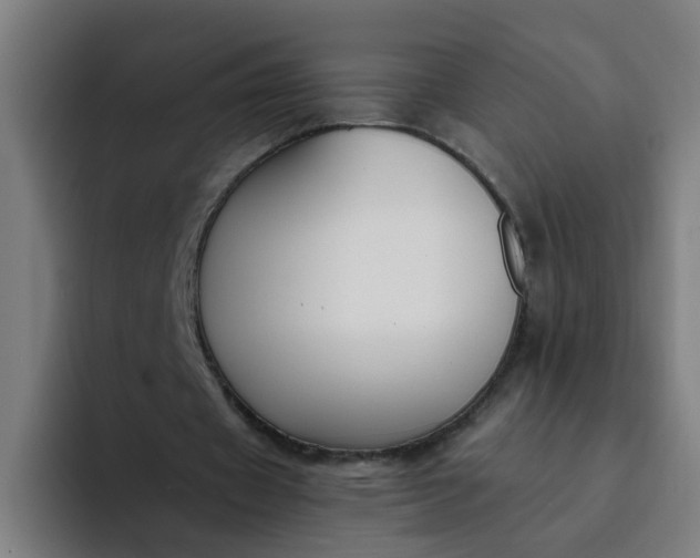 X0000094360433200711162053