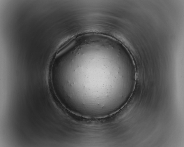 X0000094360434200711162053