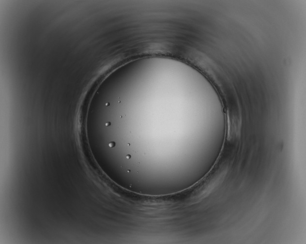 X0000094360435200711162053