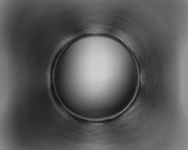 X0000094360438200711162053