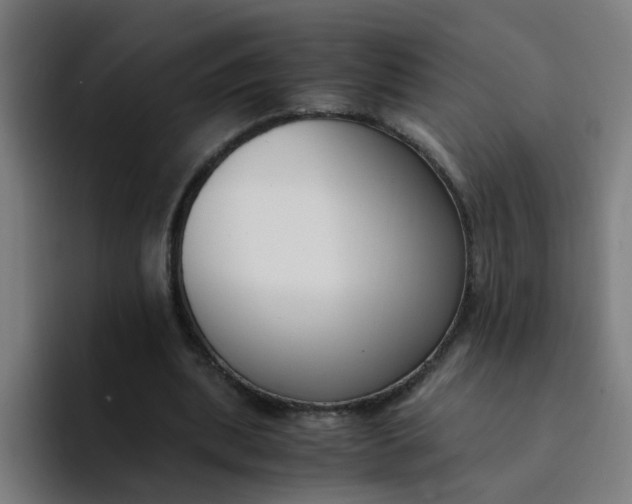 X0000094360439200711162053