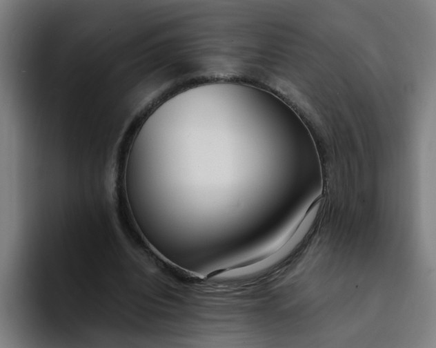 X0000094360440200711162053