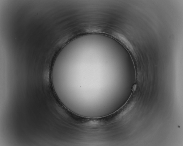 X0000094360441200711162053