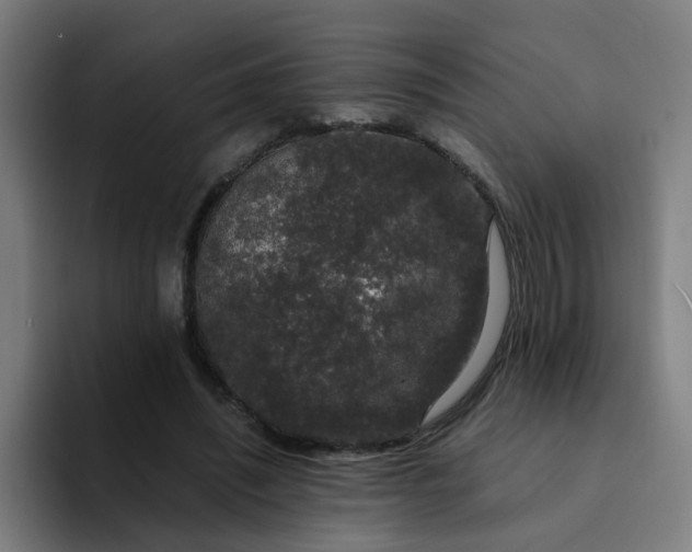 X0000094360444200711162053