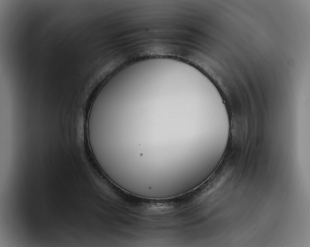 X0000094360445200711162053