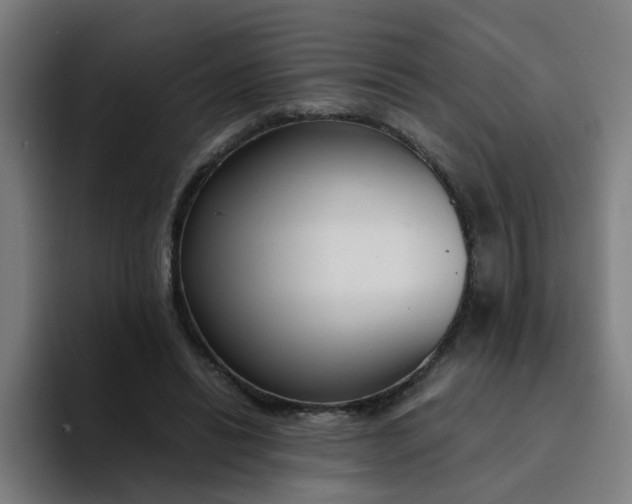 X0000094360446200711162053