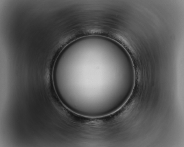 X0000094360447200711162053