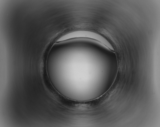 X0000094360448200711162053