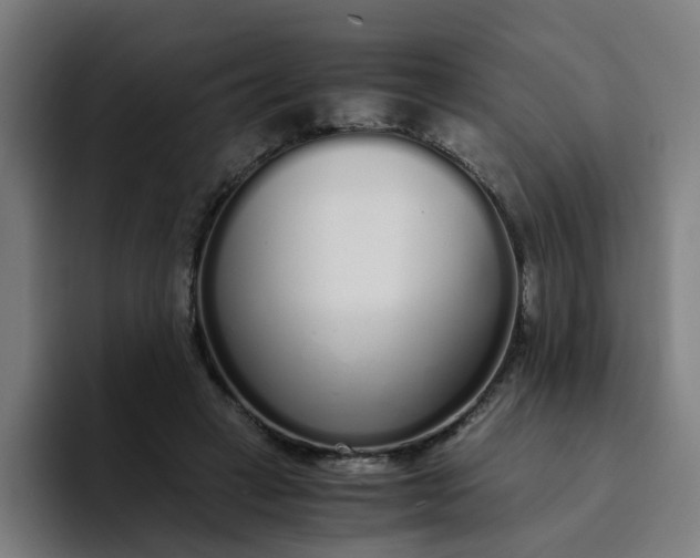 X0000094360449200711162053