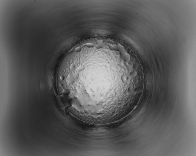 X0000094360451200711162054