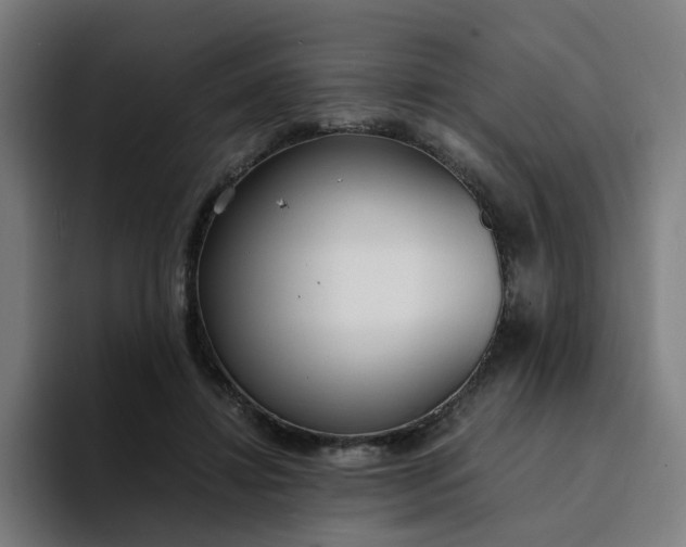 X0000094360452200711162054