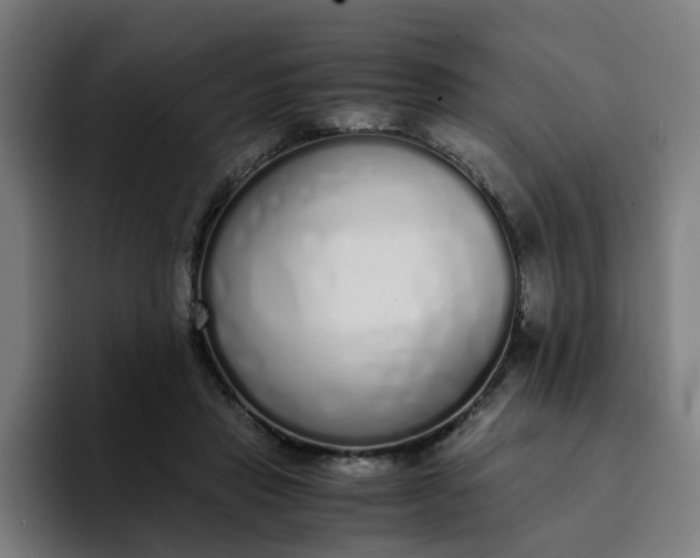 X0000094360453200711162054