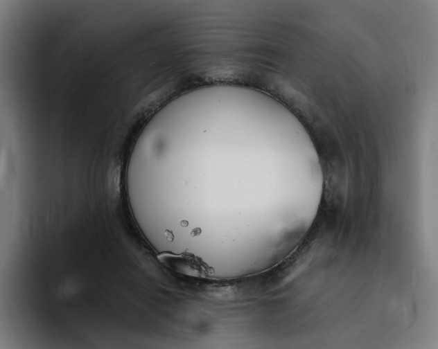 X0000094360454200711162054