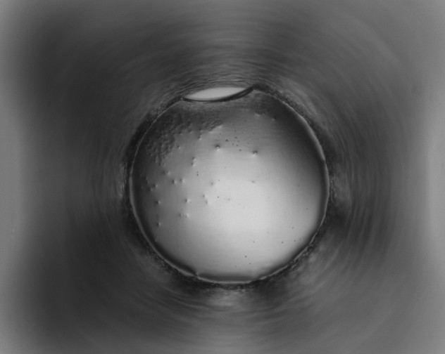 X0000094360458200711162054