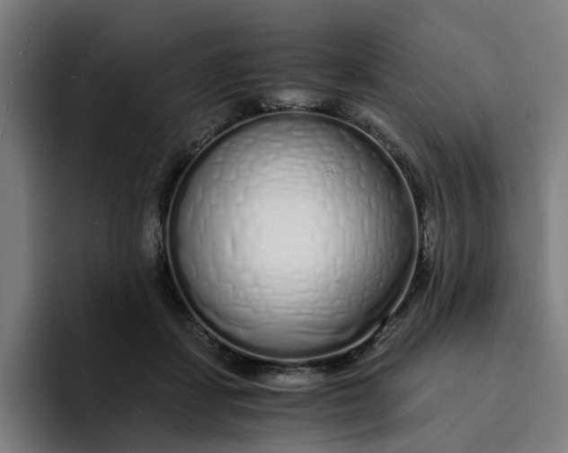 X0000094360459200711162054