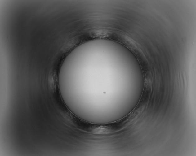 X0000094360460200711162054