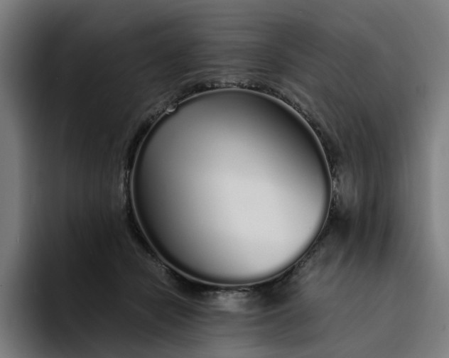 X0000094360462200711162054