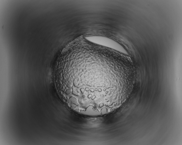 X0000094360465200711162054