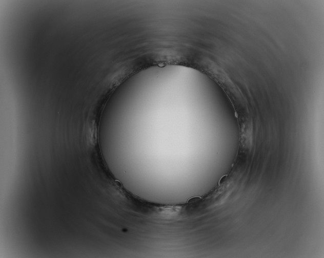 X0000094360474200711162054