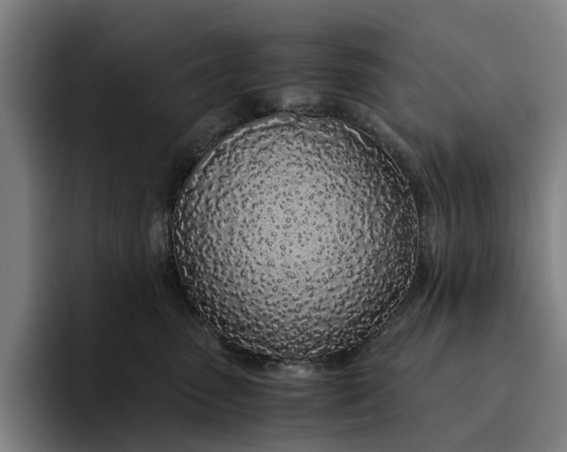 X0000094360475200711162054