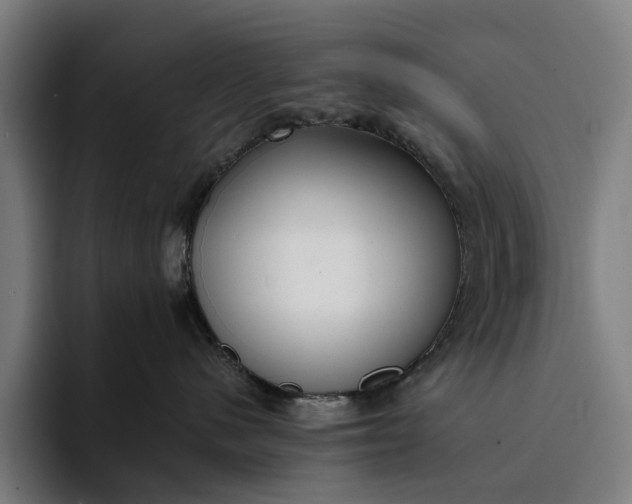 X0000094360480200711162054