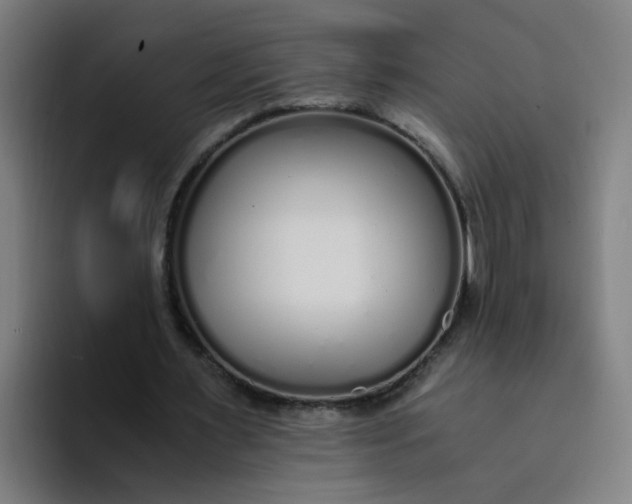 X0000094360483200711162053