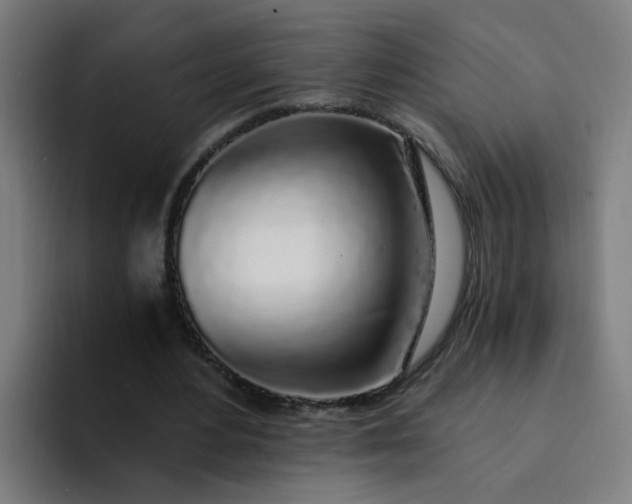 X0000094360484200711162053