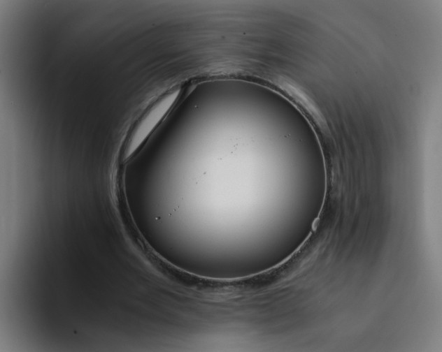 X0000094360485200711162053