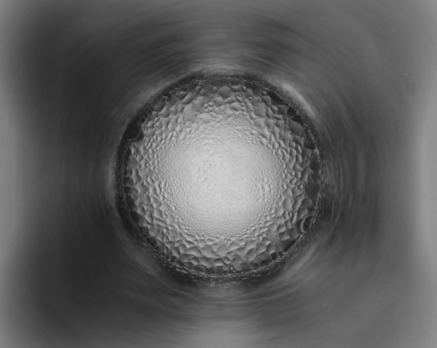 X0000094360487200711162053