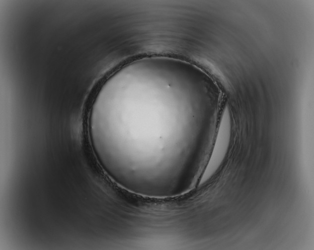 X0000094360488200711162053