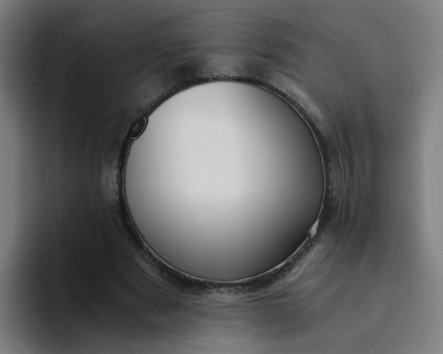 X0000094360489200711162053