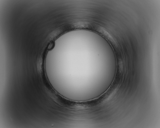 X0000094360490200711162053