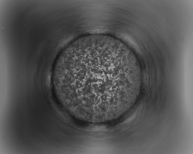 X0000094360491200711162053