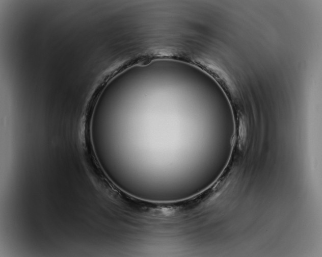 X0000094360492200711162053