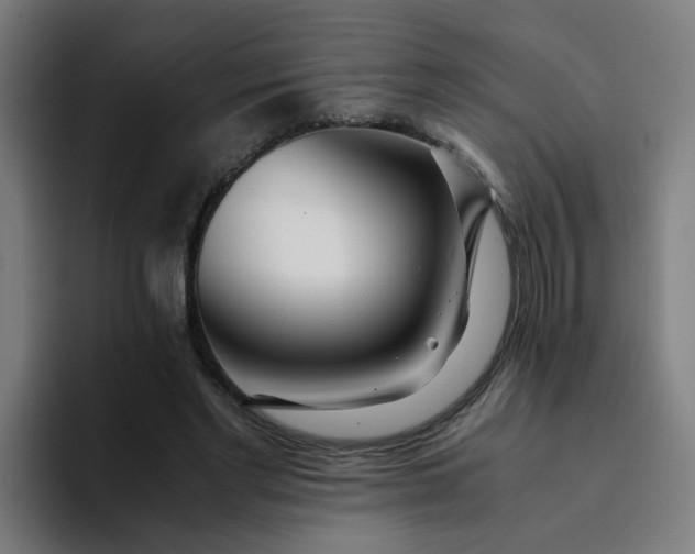 X0000094360493200711162053