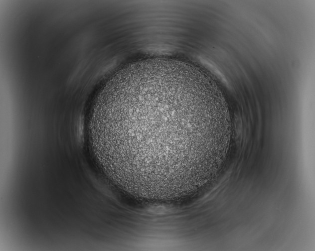 X0000094360494200711162053