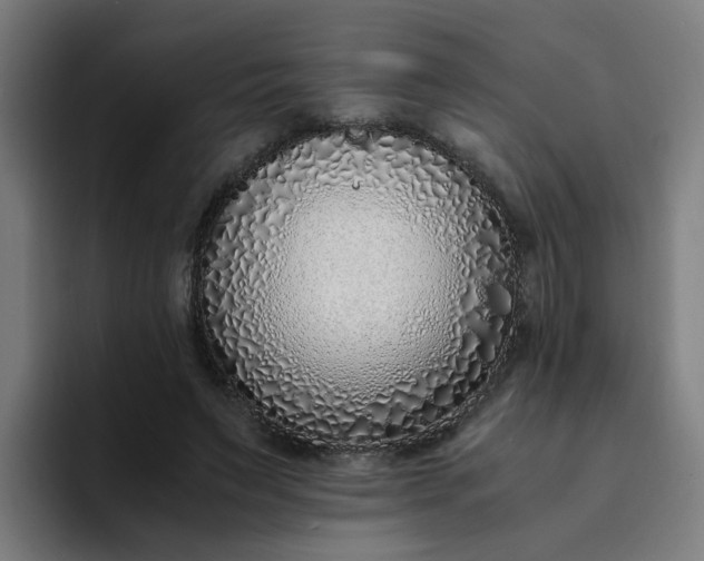 X0000094360495200711162053