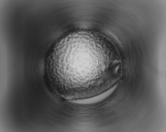 X0000094360496200711162053