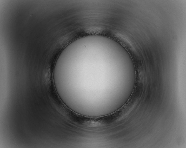 X0000094360498200711162053