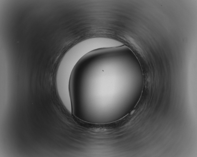 X0000094360500200711162053