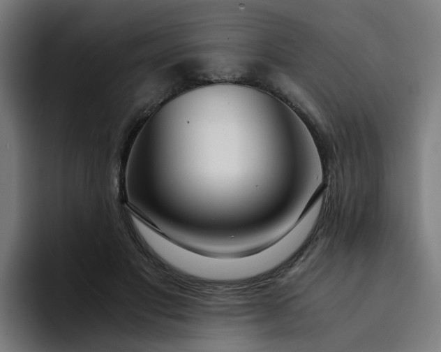 X0000094360501200711162053