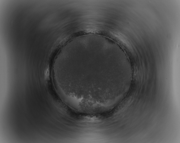 X0000094360502200711162053